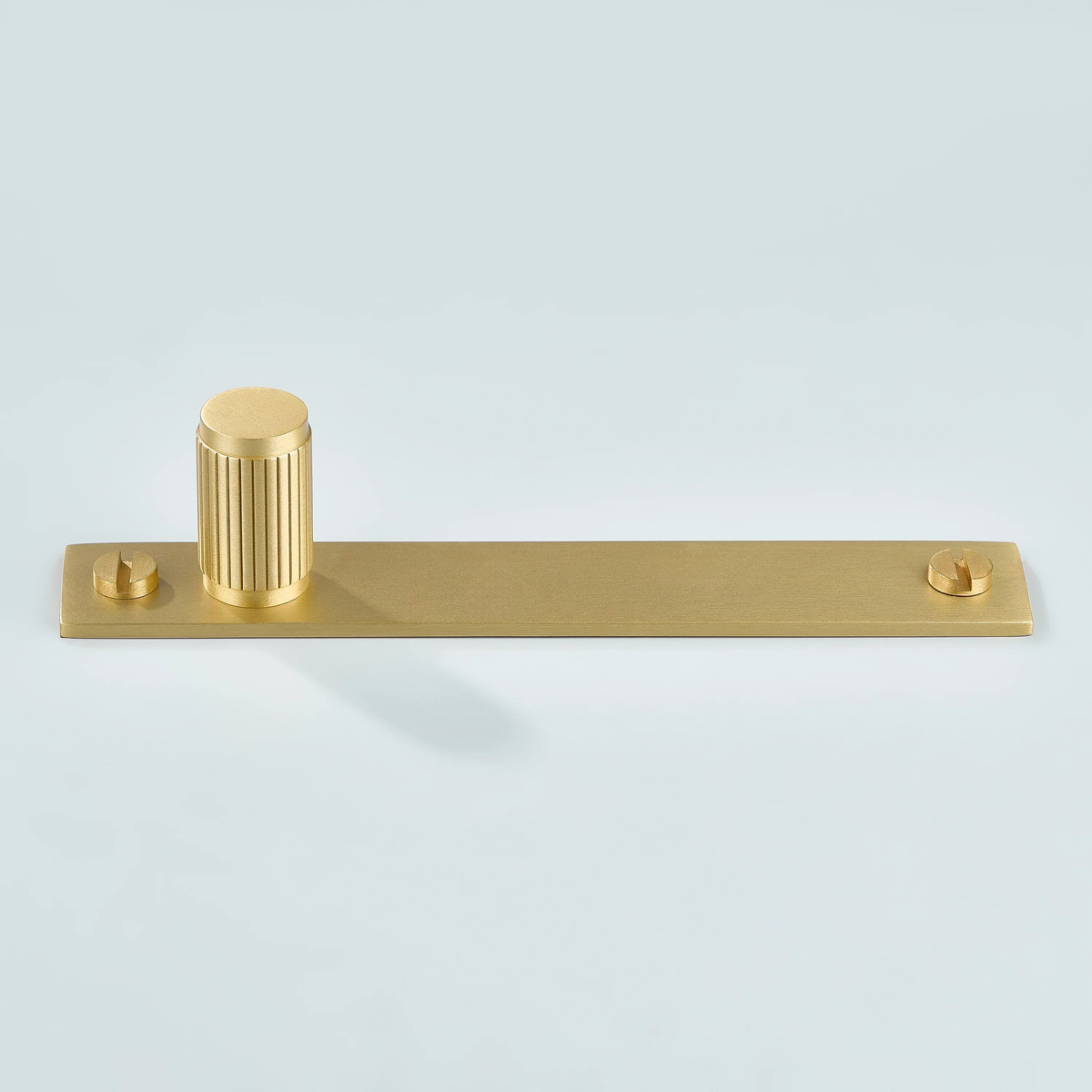 Aris Linear Knurled Brass Cylinder Knob With Backplate