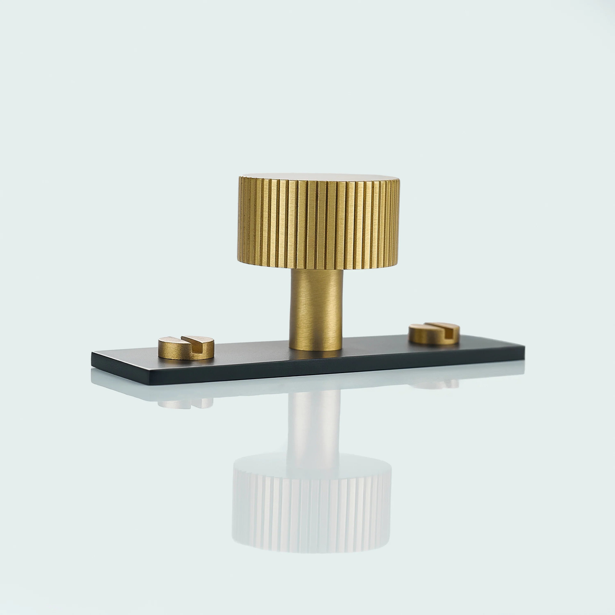 Aris Linear Knurled Brass Cabinet Knob With Backplate