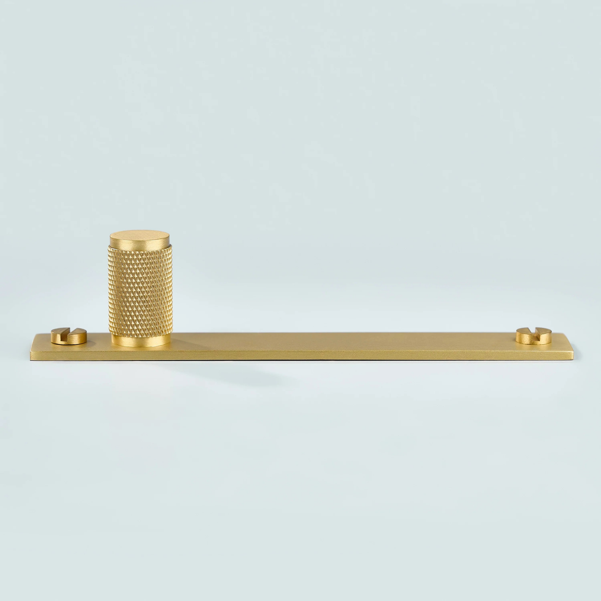 Meridian Knurled Brass Cylinder Knob With Backplate