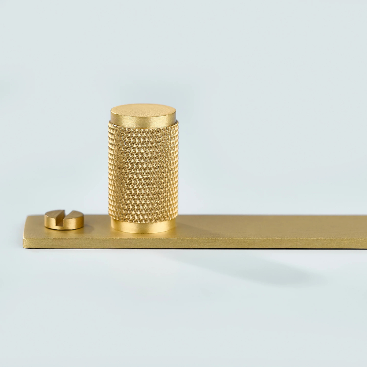 Meridian Knurled Brass Cylinder Knob With Backplate