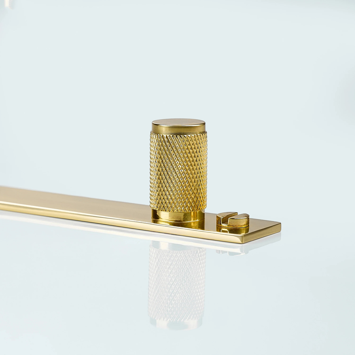 Meridian Knurled Brass Cylinder Knob With Backplate