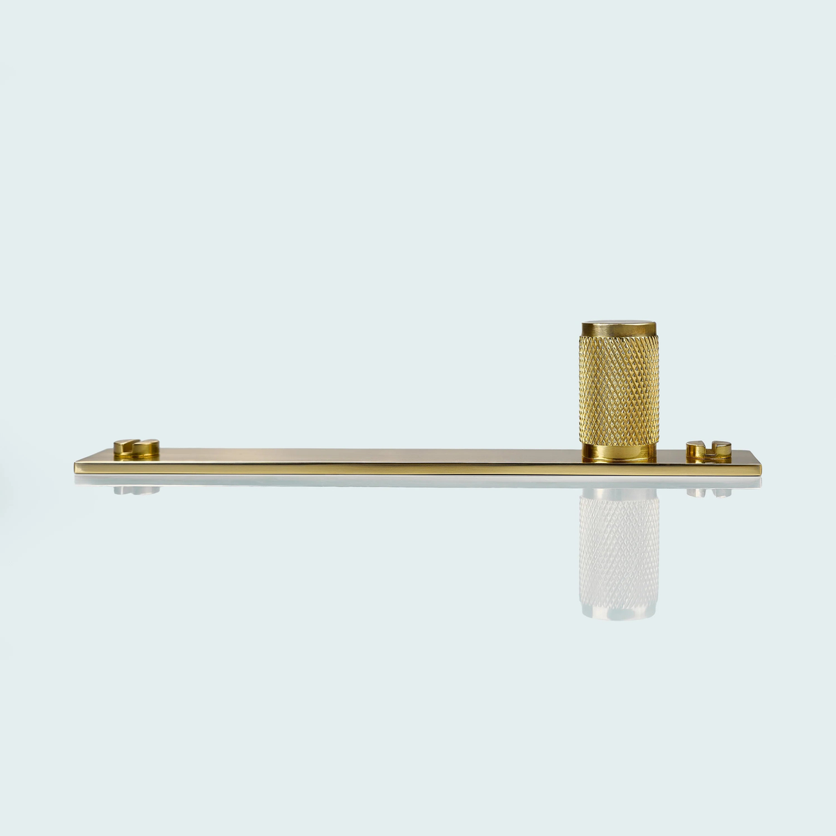 Meridian Knurled Brass Cylinder Knob With Backplate
