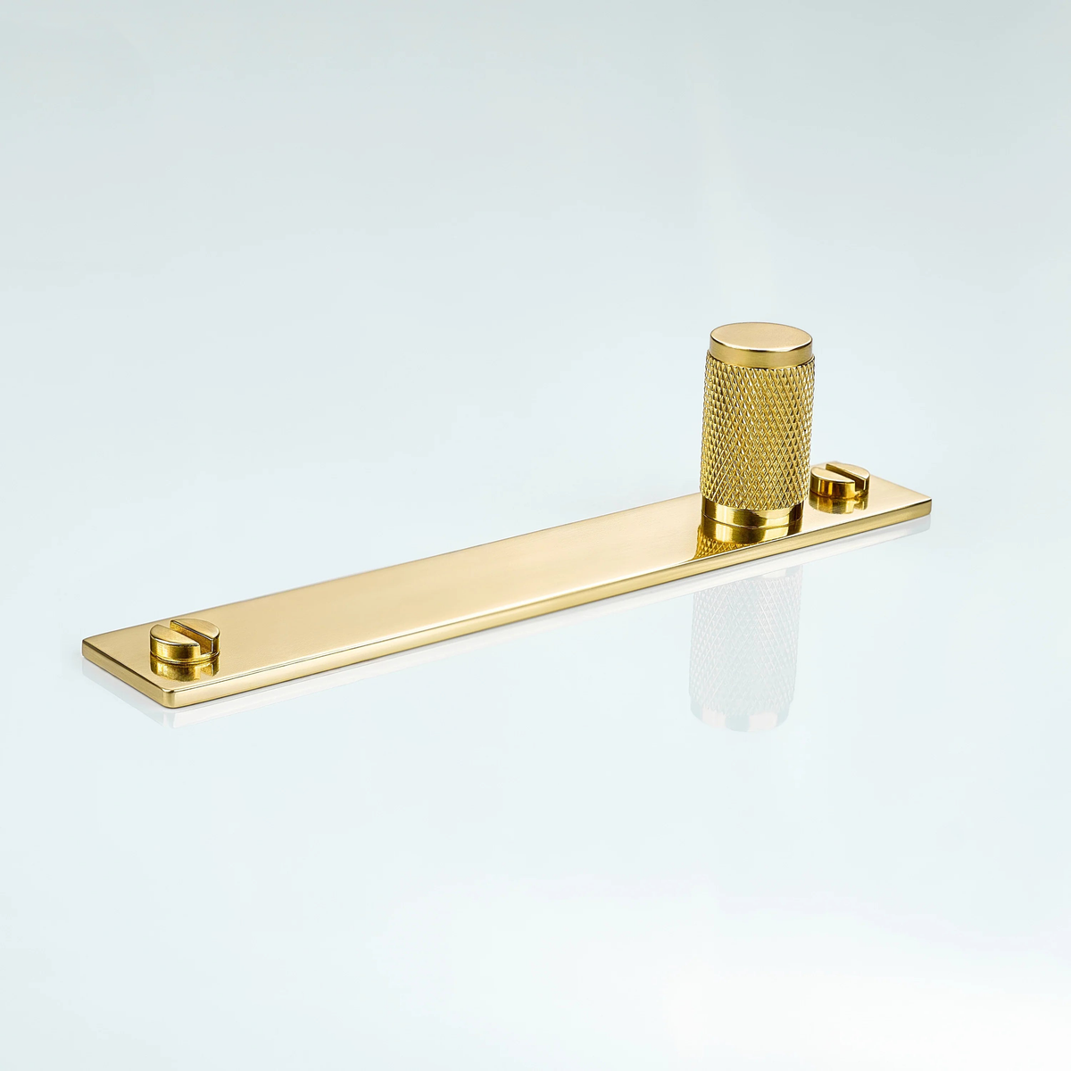 Meridian Knurled Brass Cylinder Knob With Backplate